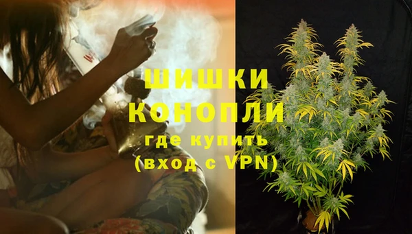 спайс Алзамай